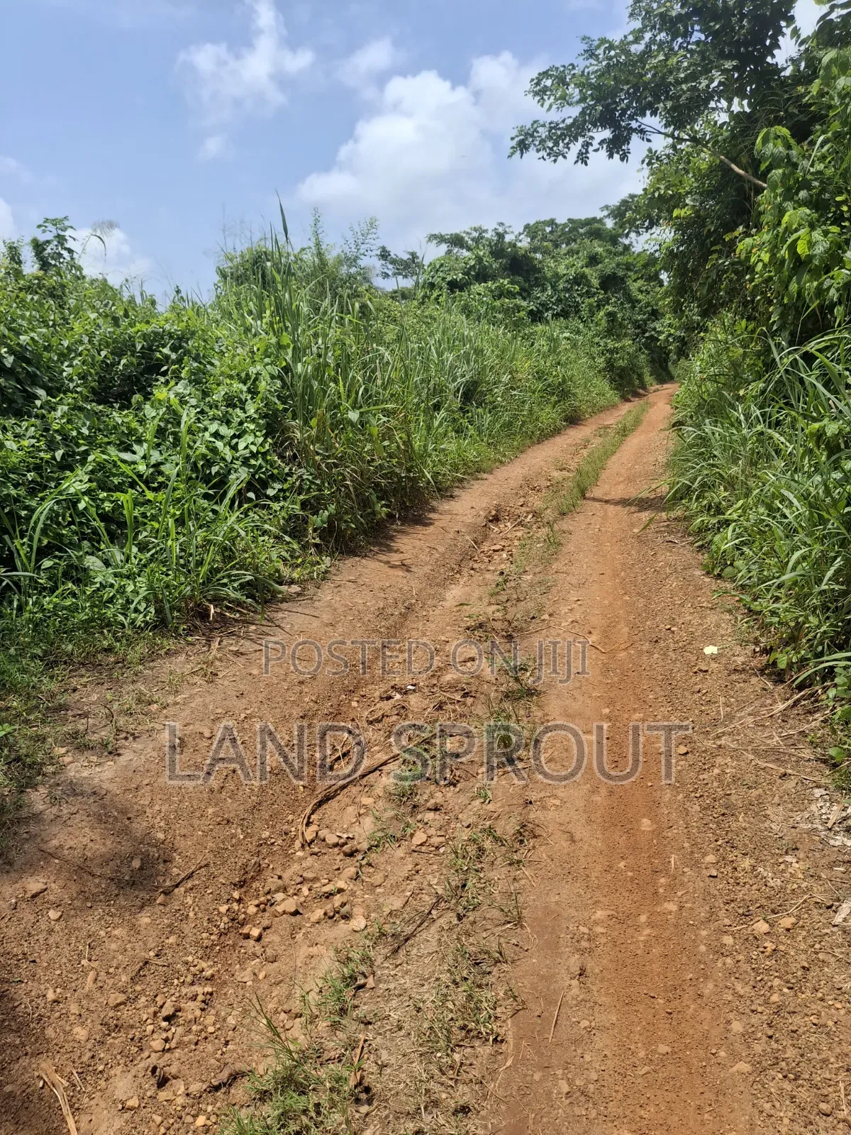 800 Acres Farmland at Gbàgbé, Ido, Ibadan