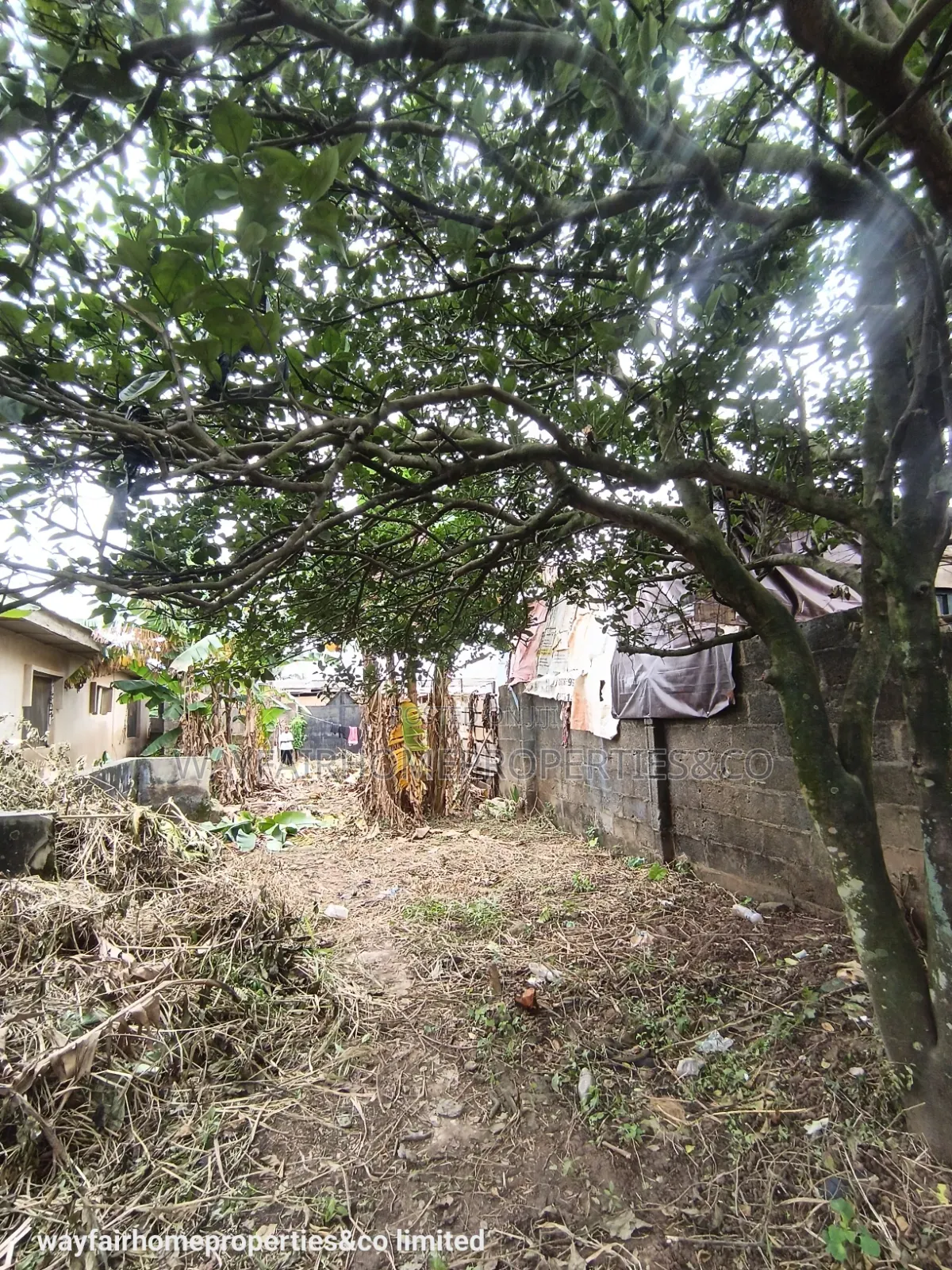 Almost Half Plot of Land for Sale in Ayobo