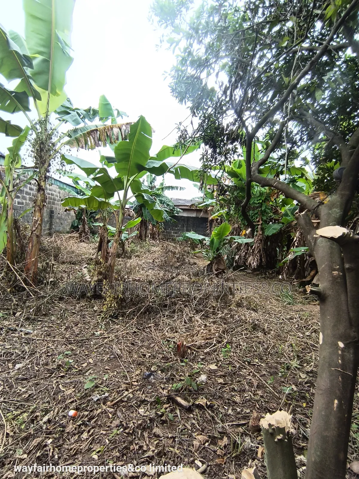 Almost Half Plot of Land for Sale in Ayobo