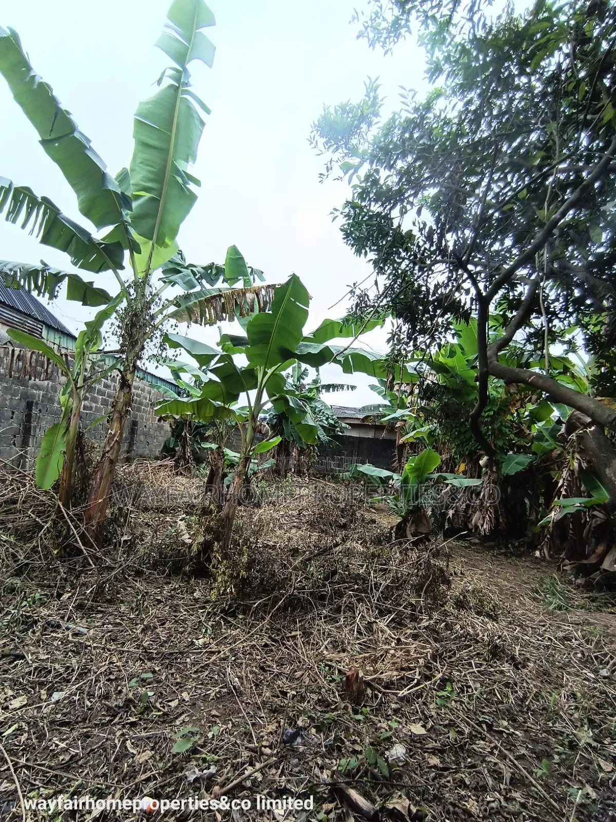 Almost Half Plot of Land for Sale in Ayobo