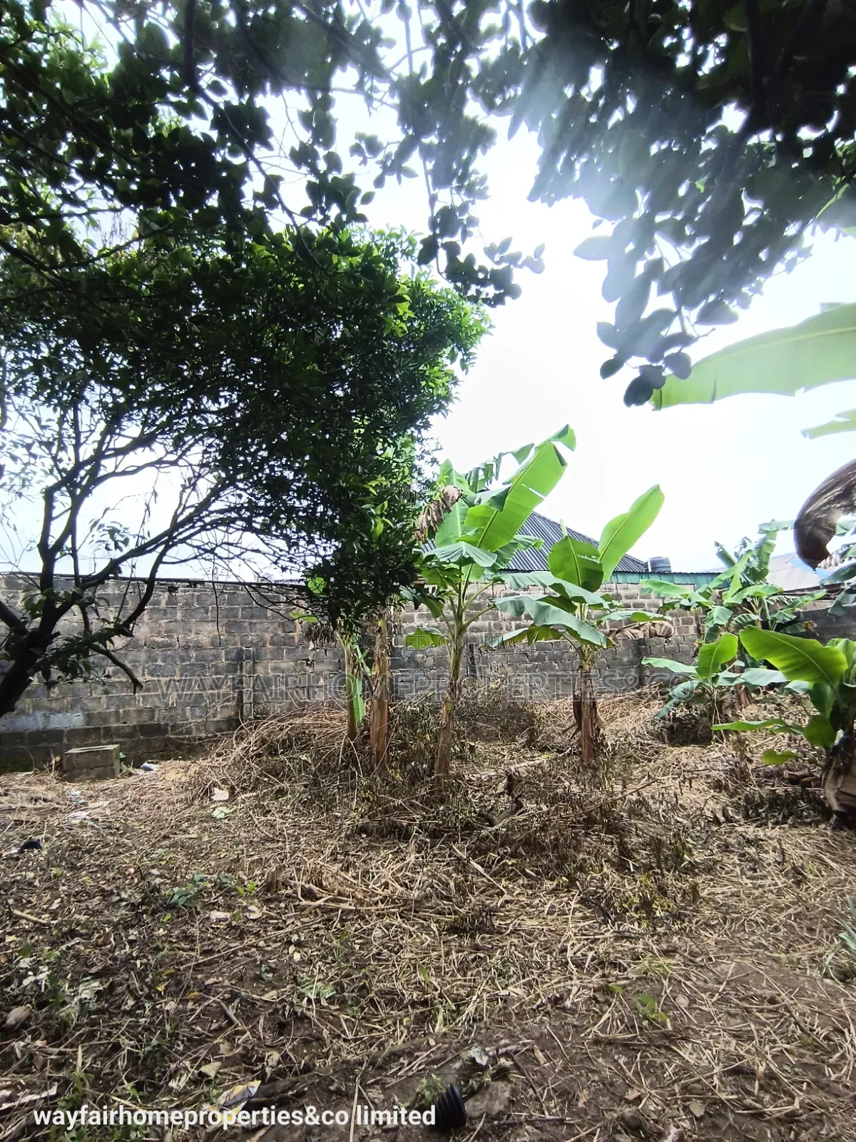 Almost Half Plot of Land for Sale in Ayobo