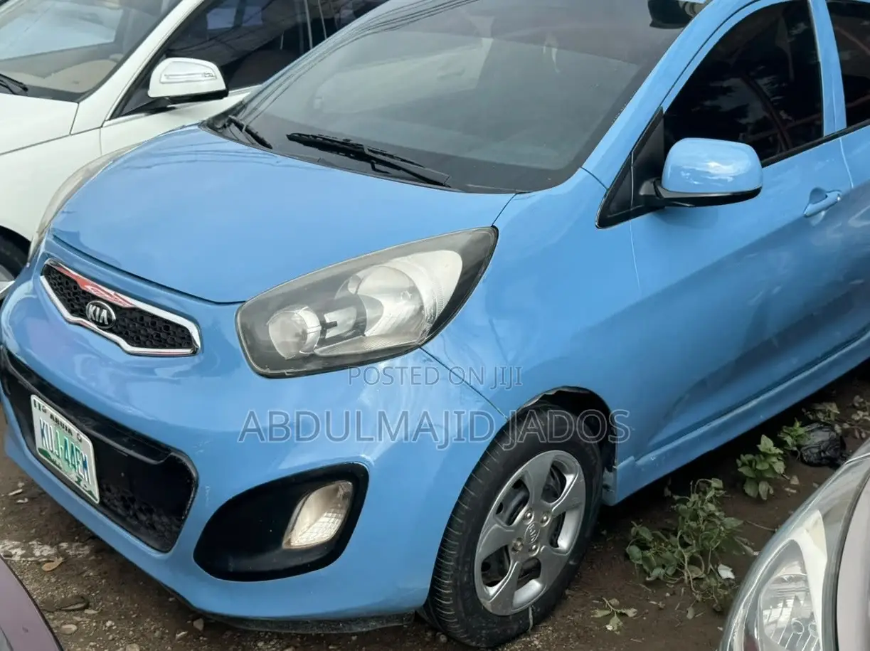 Kia Picanto 2010 Blue