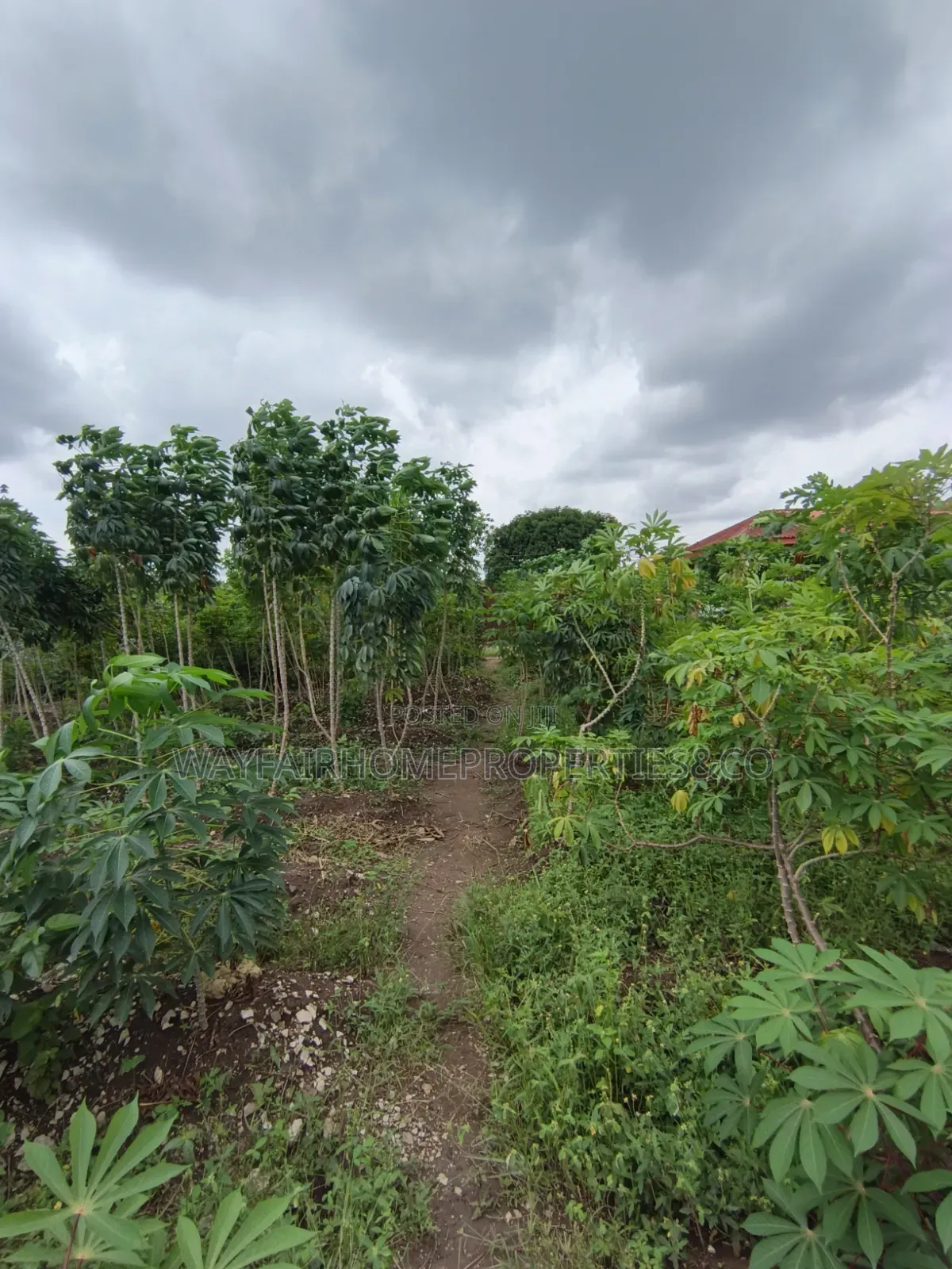 Half Plot of Land for Sale in Ayobo Lagos