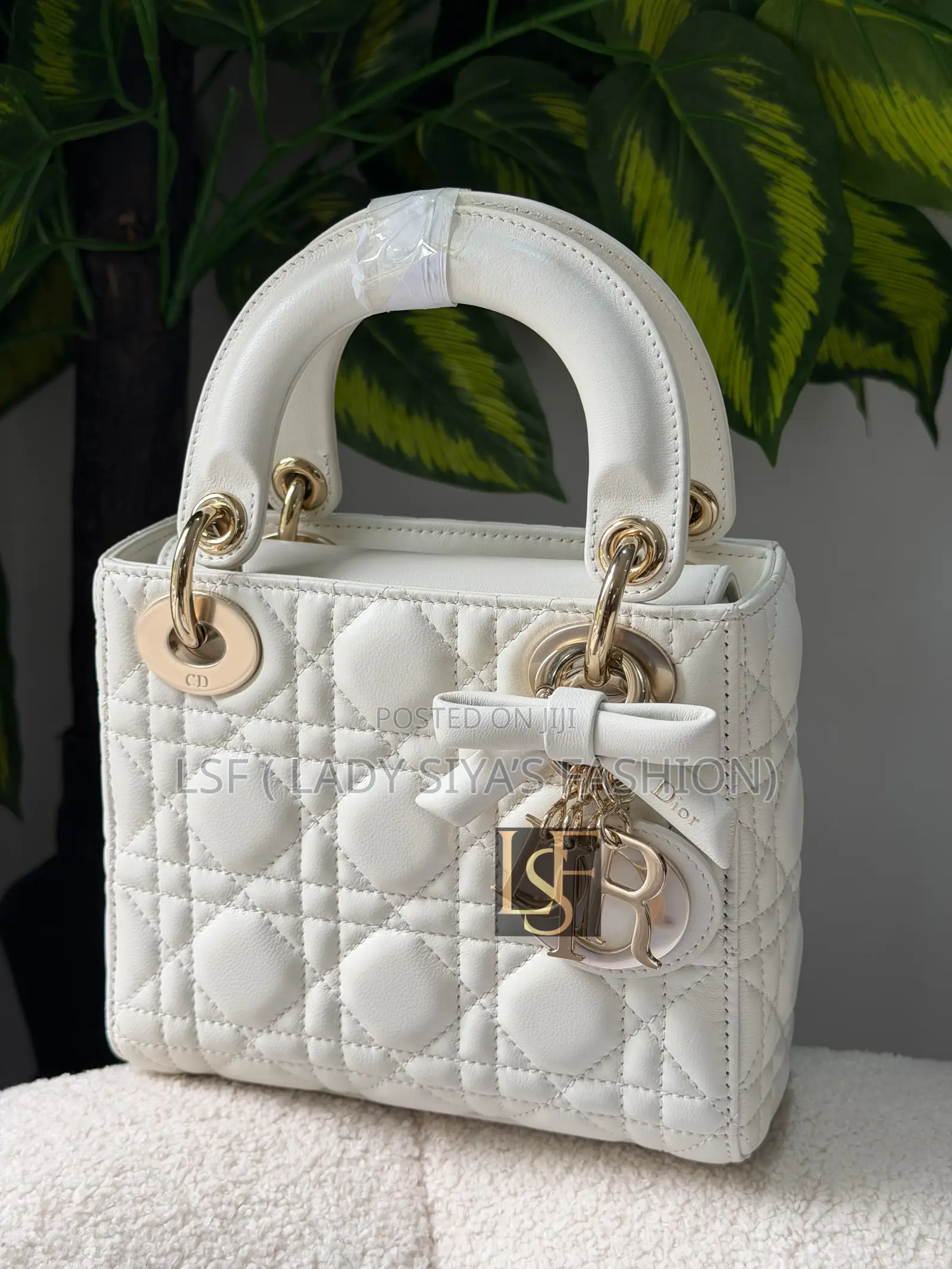 Luxury Dior Bag