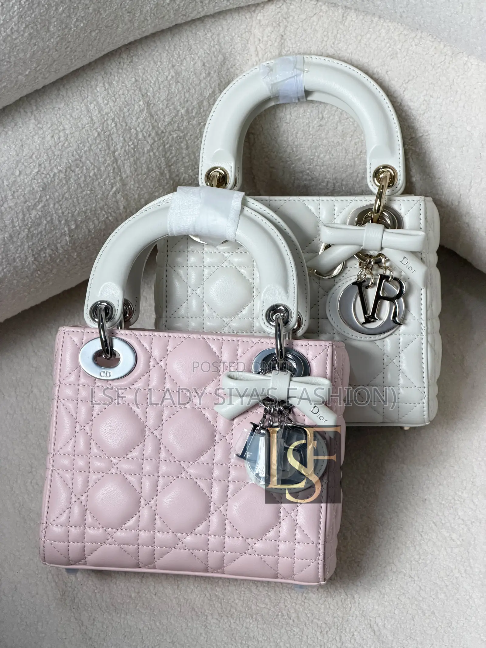 Luxury Dior Bag