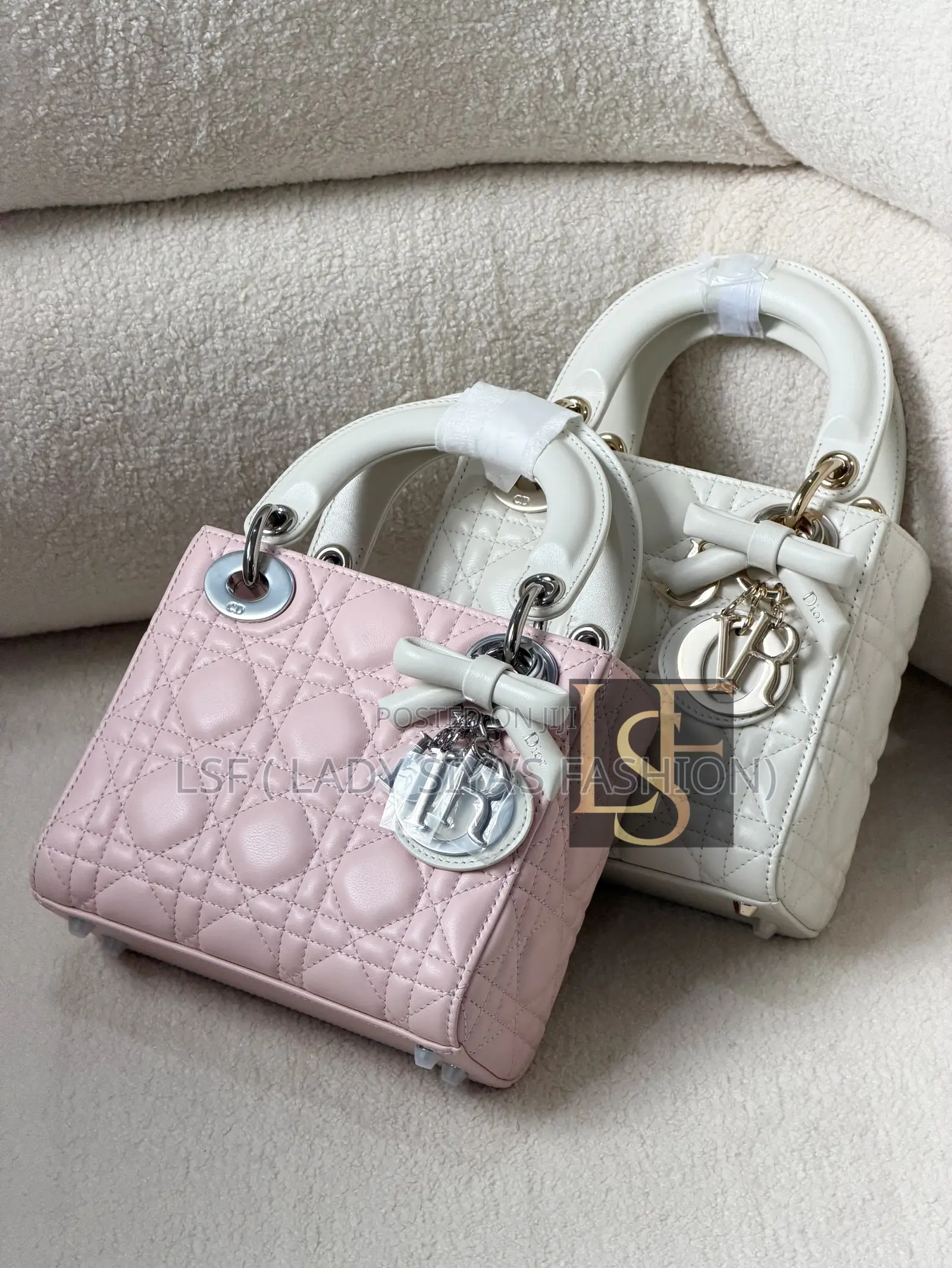 Luxury Dior Bag