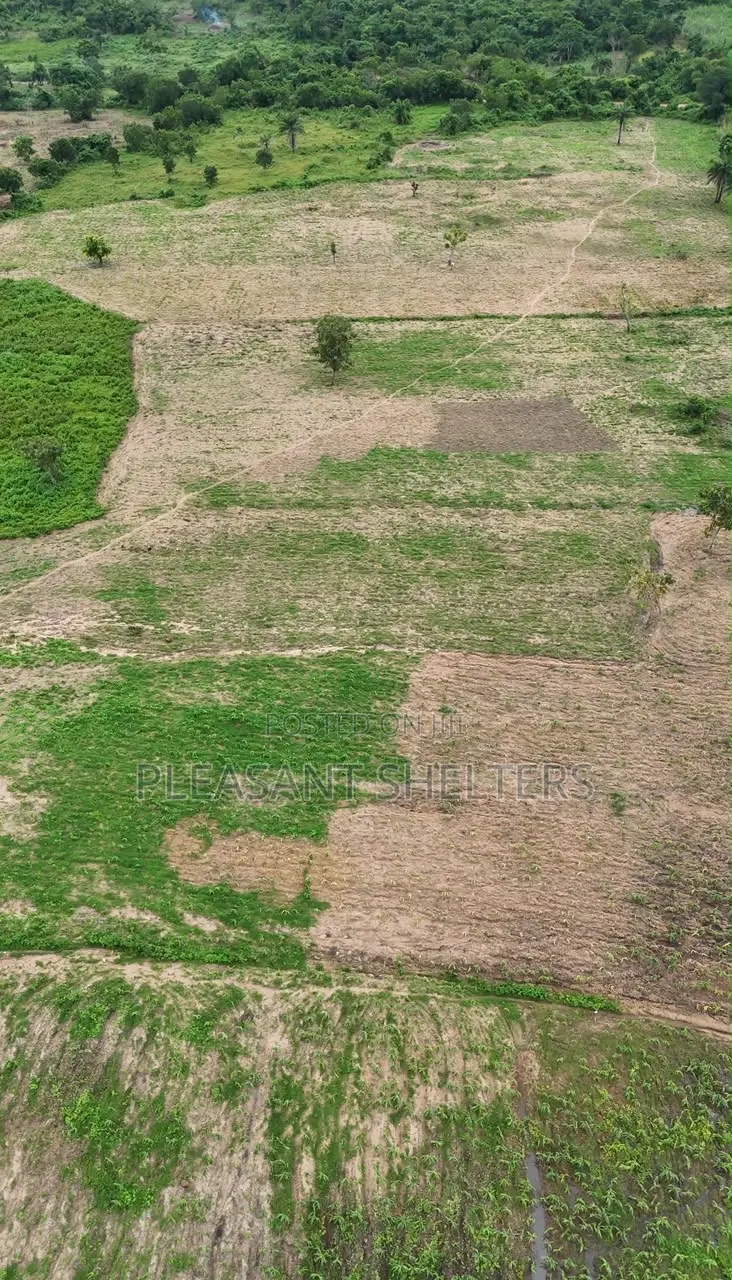 Next Generation Farm City Extension