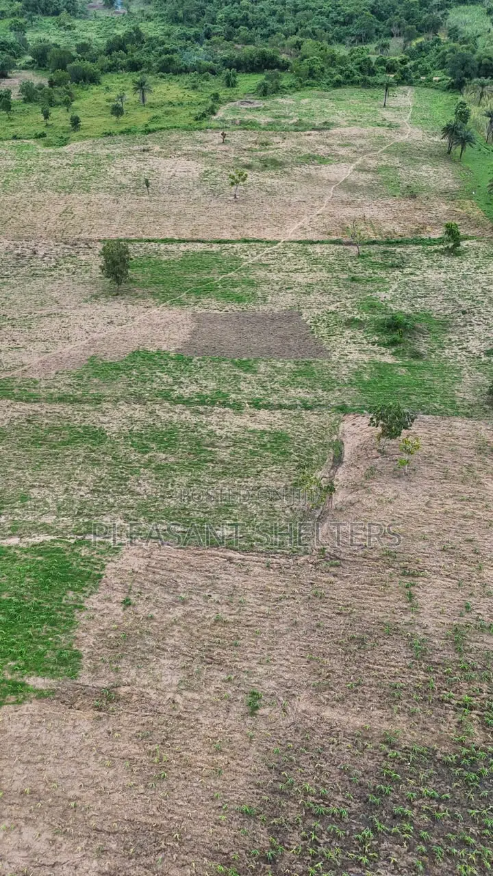 Next Generation Farm City Extension