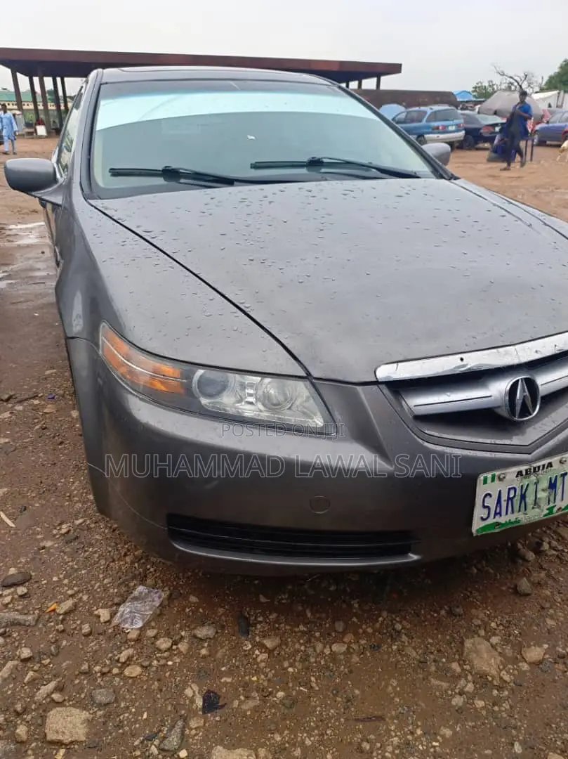 Acura TL 2005 Gray