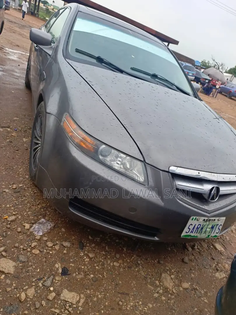 Acura TL 2005 Gray