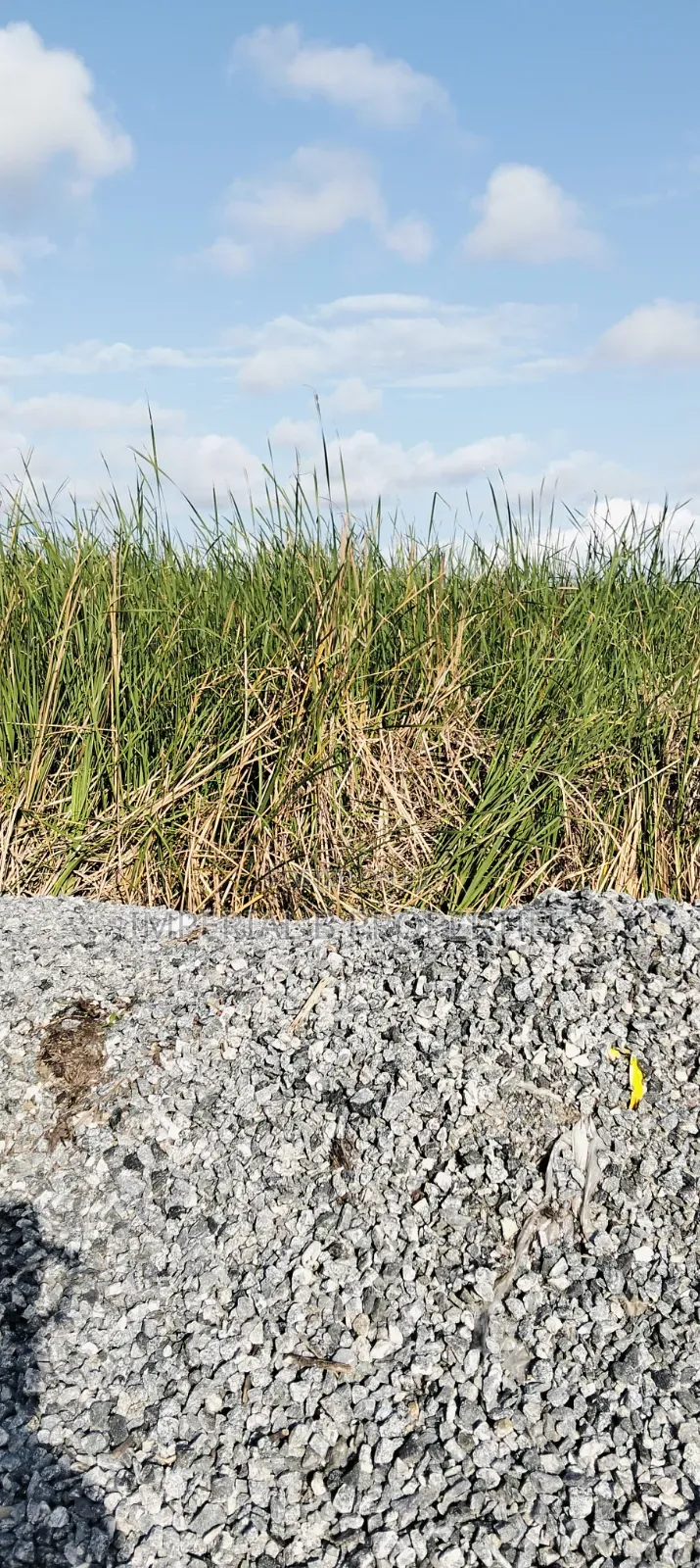 600 SQM Buy and Build Estate Land With C of O