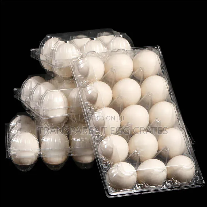 Transparent Egg Crates