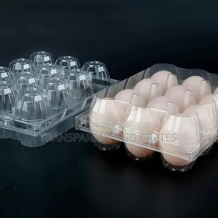 Transparent Egg Crates