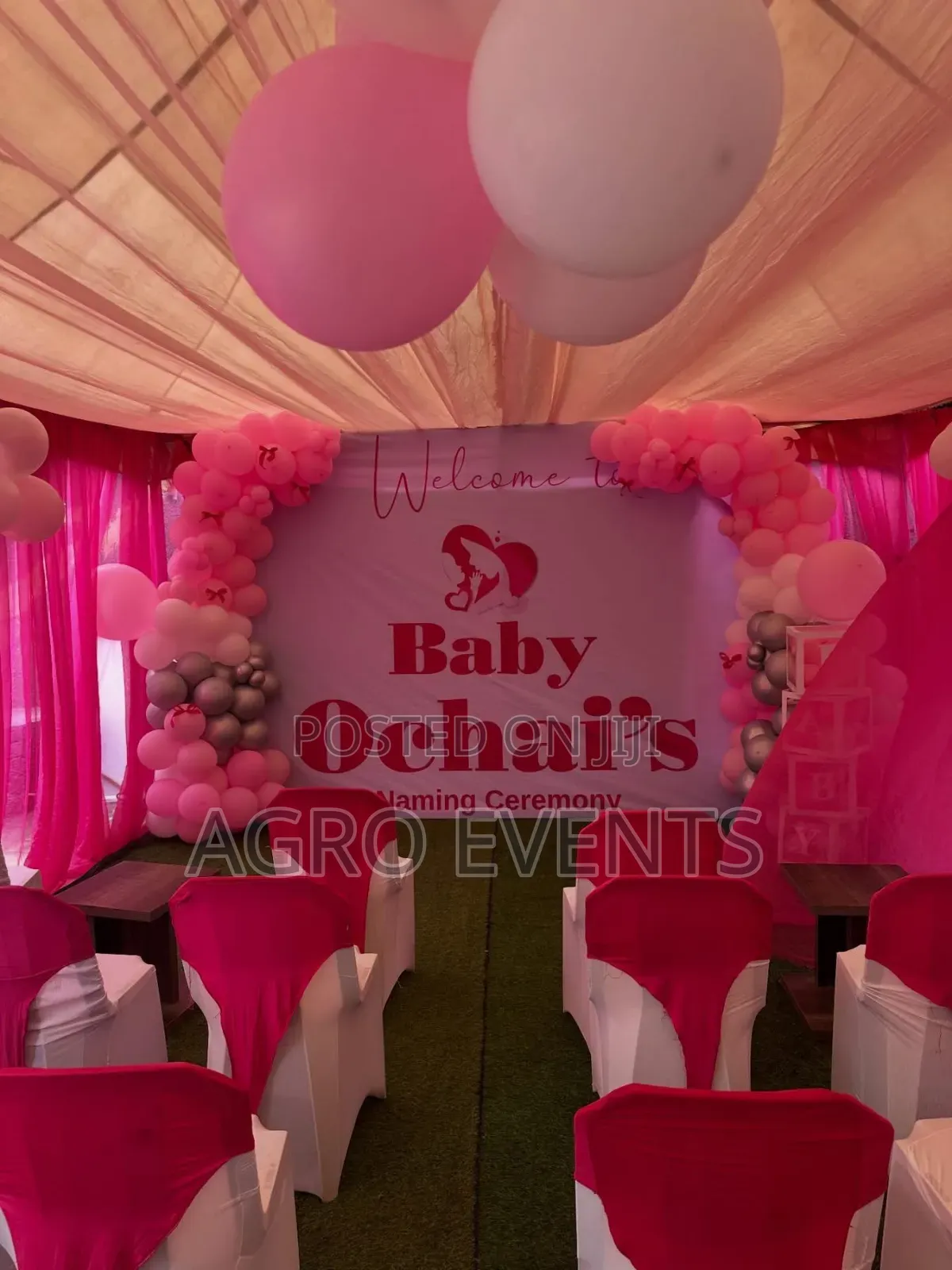 Balloon Port Harcourt Party Agro Event Setup