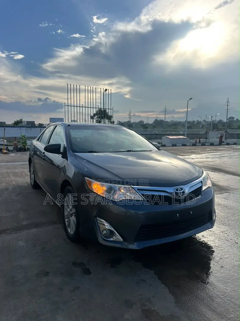 Toyota Camry XLE 4dr Sedan (2.5L 4cyl 6A) 2014 Gray