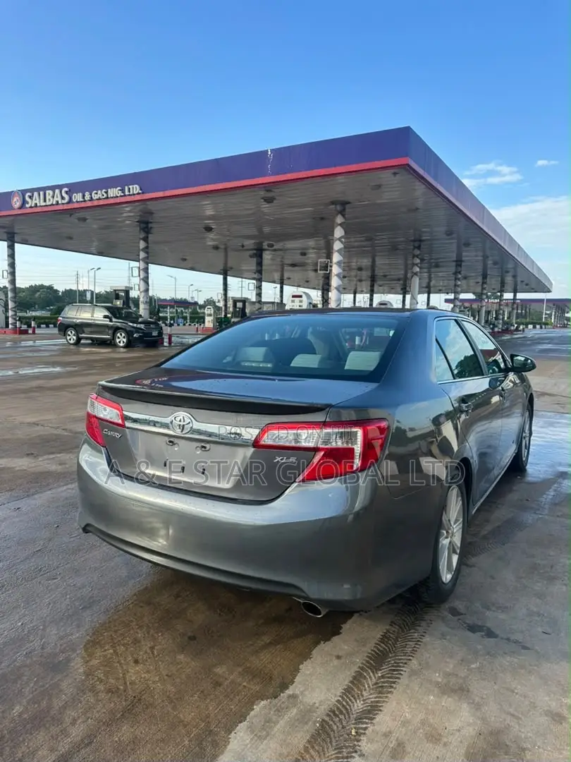 Toyota Camry XLE 4dr Sedan (2.5L 4cyl 6A) 2014 Gray