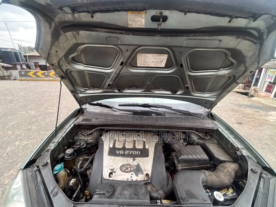 Hyundai Tucson 2005 Green