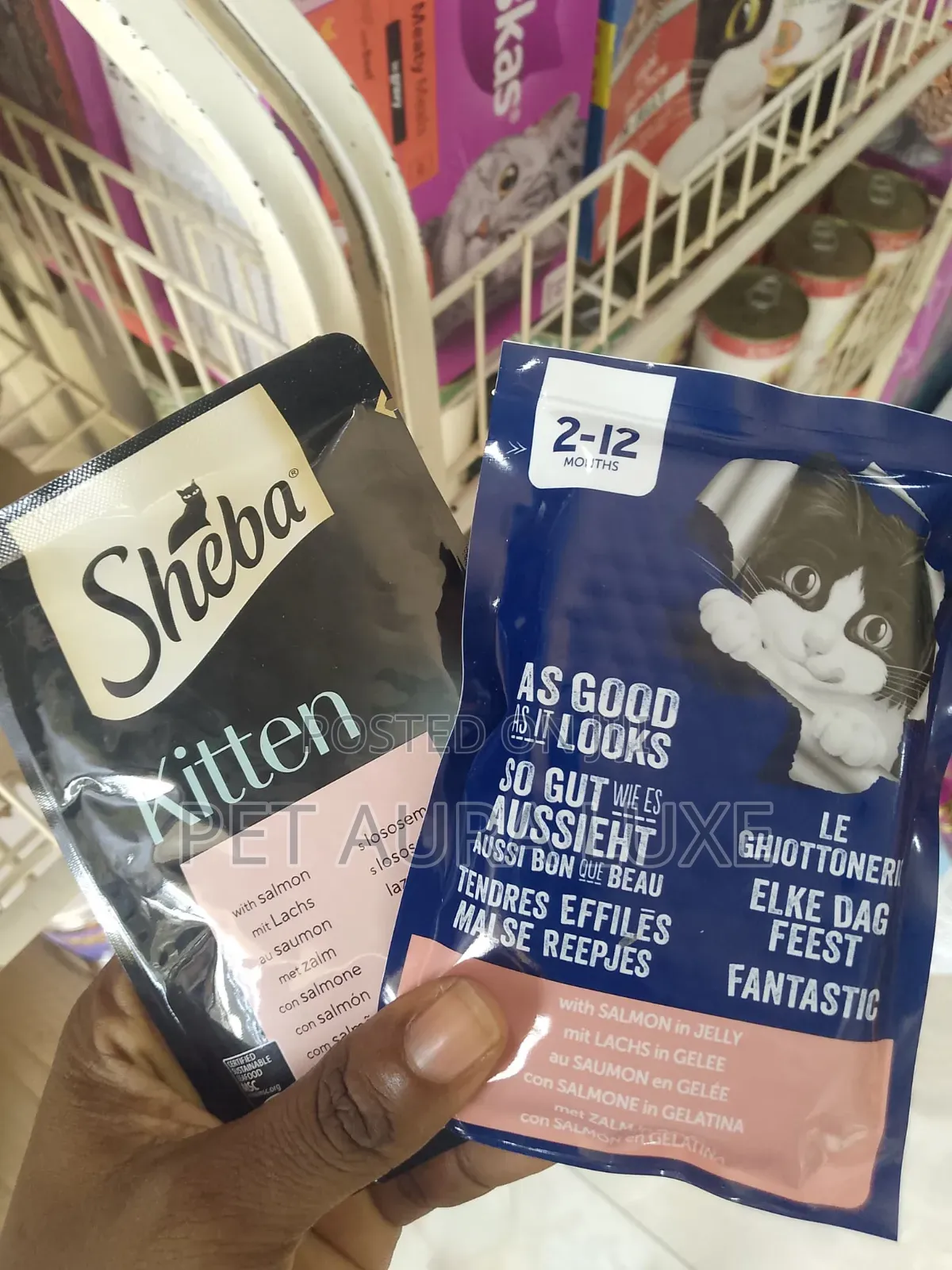Sheba Felix Kitten Sauce
