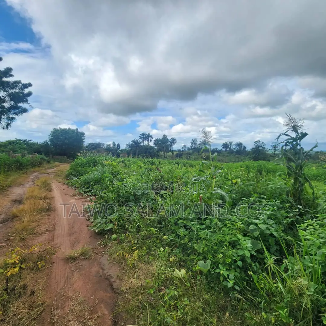 An Acre of Land