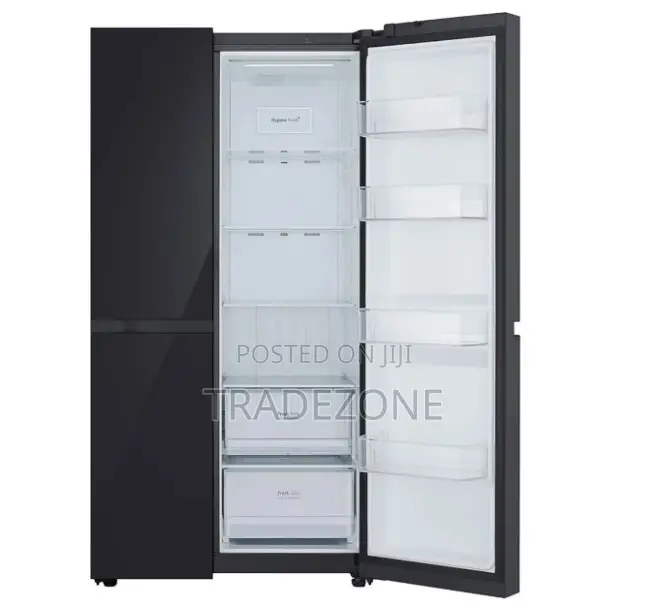 LG 703L Black Mirror Refrigerator | REF 257 KGHW