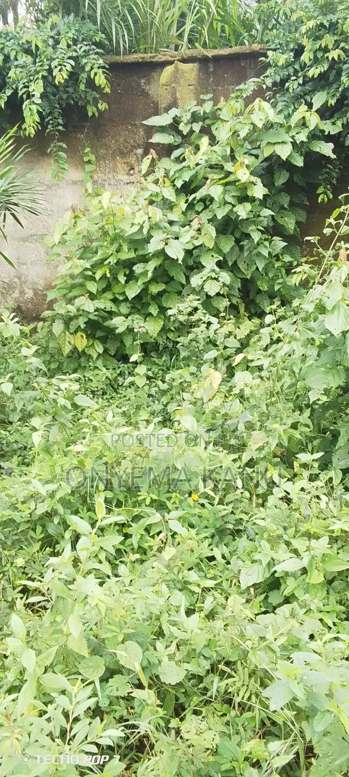 6 Fenced Plots Facing Obuaku City.