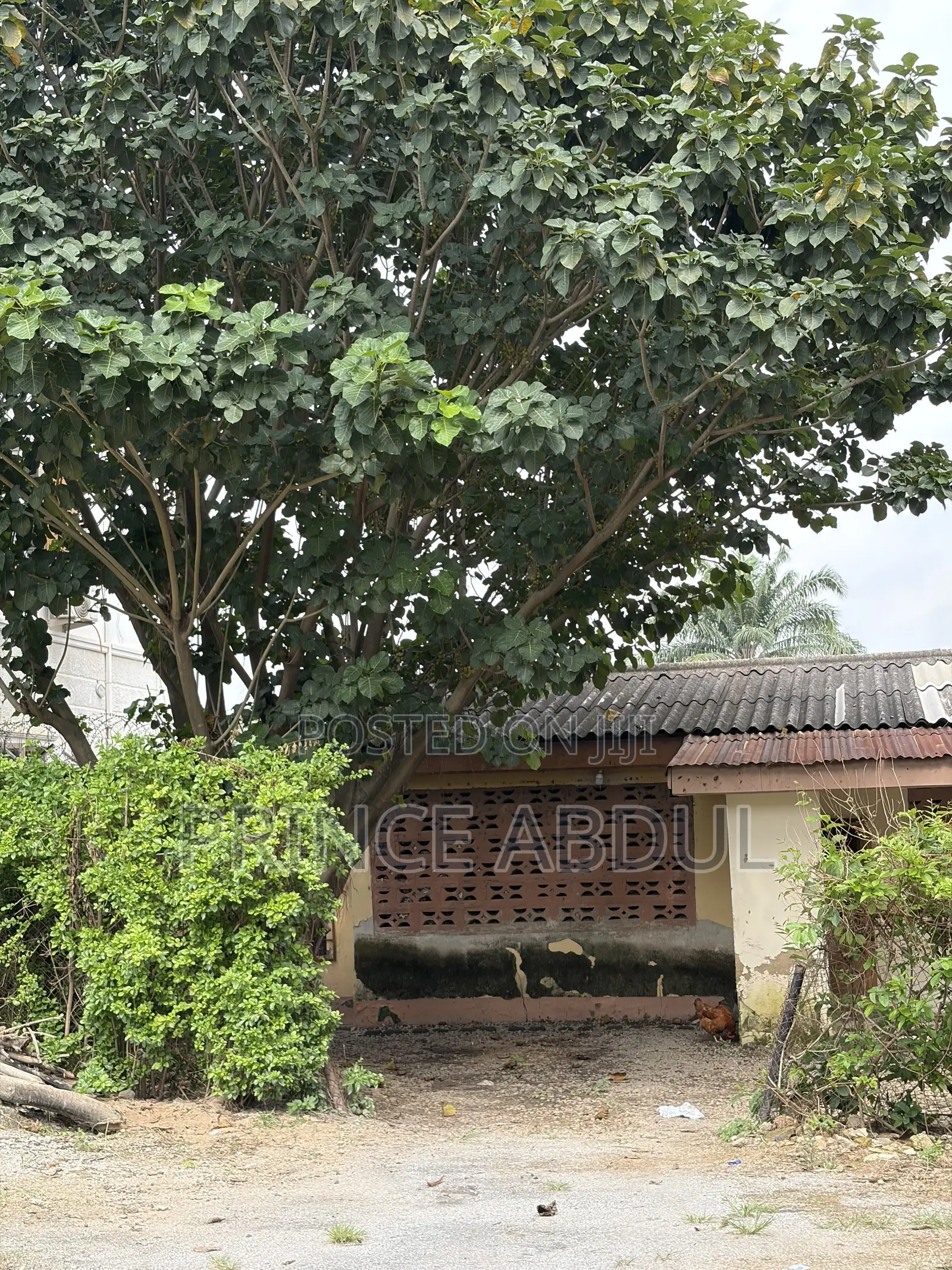 Furnished 1bdrm Apartment in Life Camp for sale