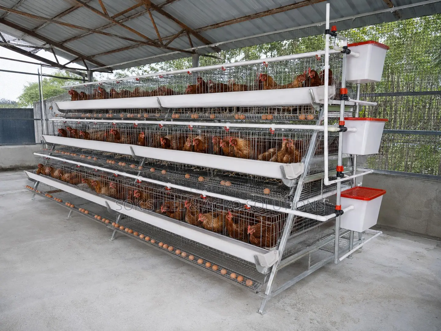 Layer Poultry Battery Cage System for Chickens With Feeding Drinking