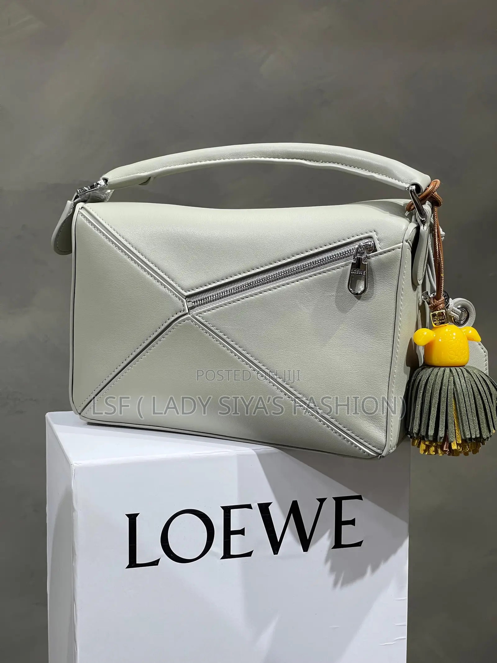 Luxury Loewe Bag