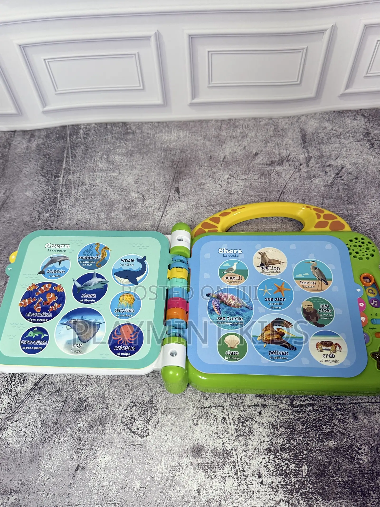 100 Book of Animals