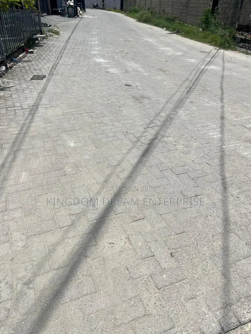 Commercial Land 17,490Sqm on Bode Thomas Western Avenue Surulere Lag