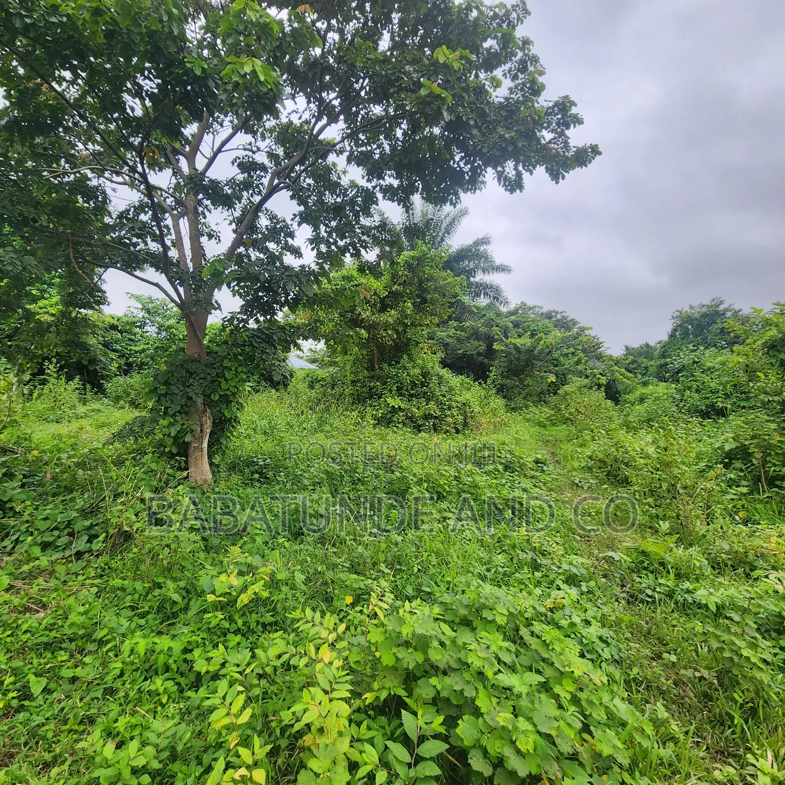 A Plot of Land for Sale Taiwo Olobi, Moniya Express, Moniya Ibadan