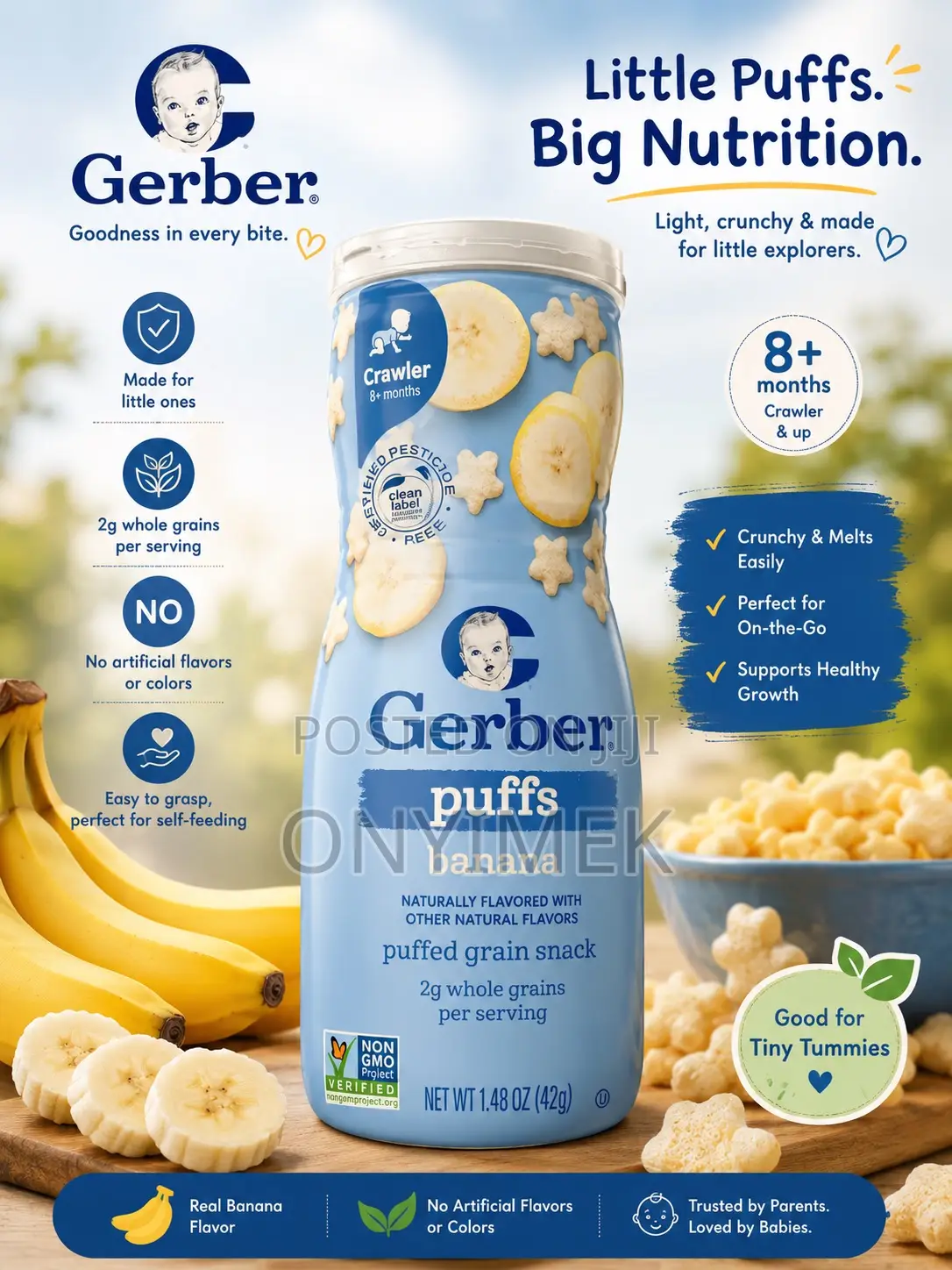 Gerber Puff Biscuit for Kids