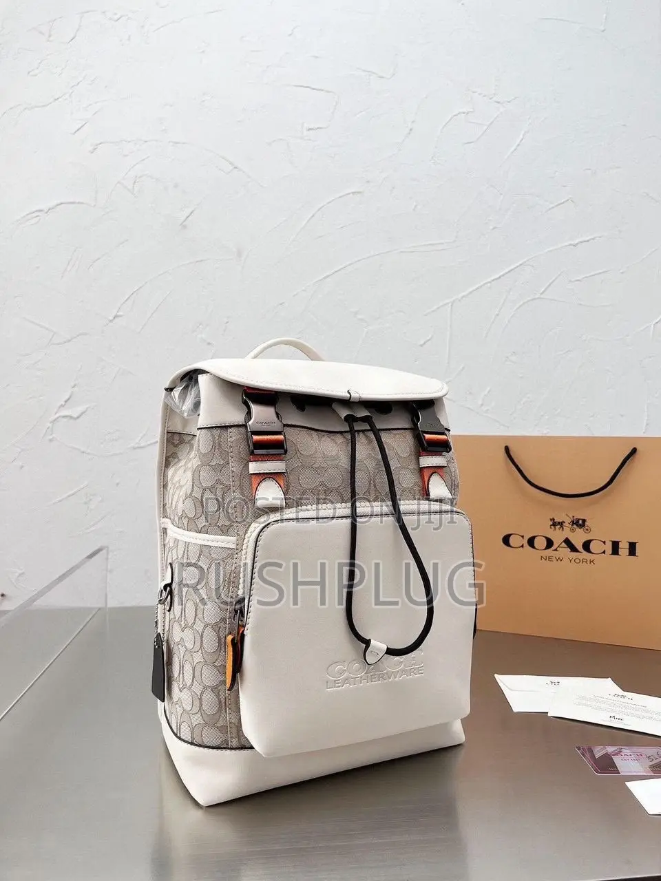 Coach Luxury Backpack
