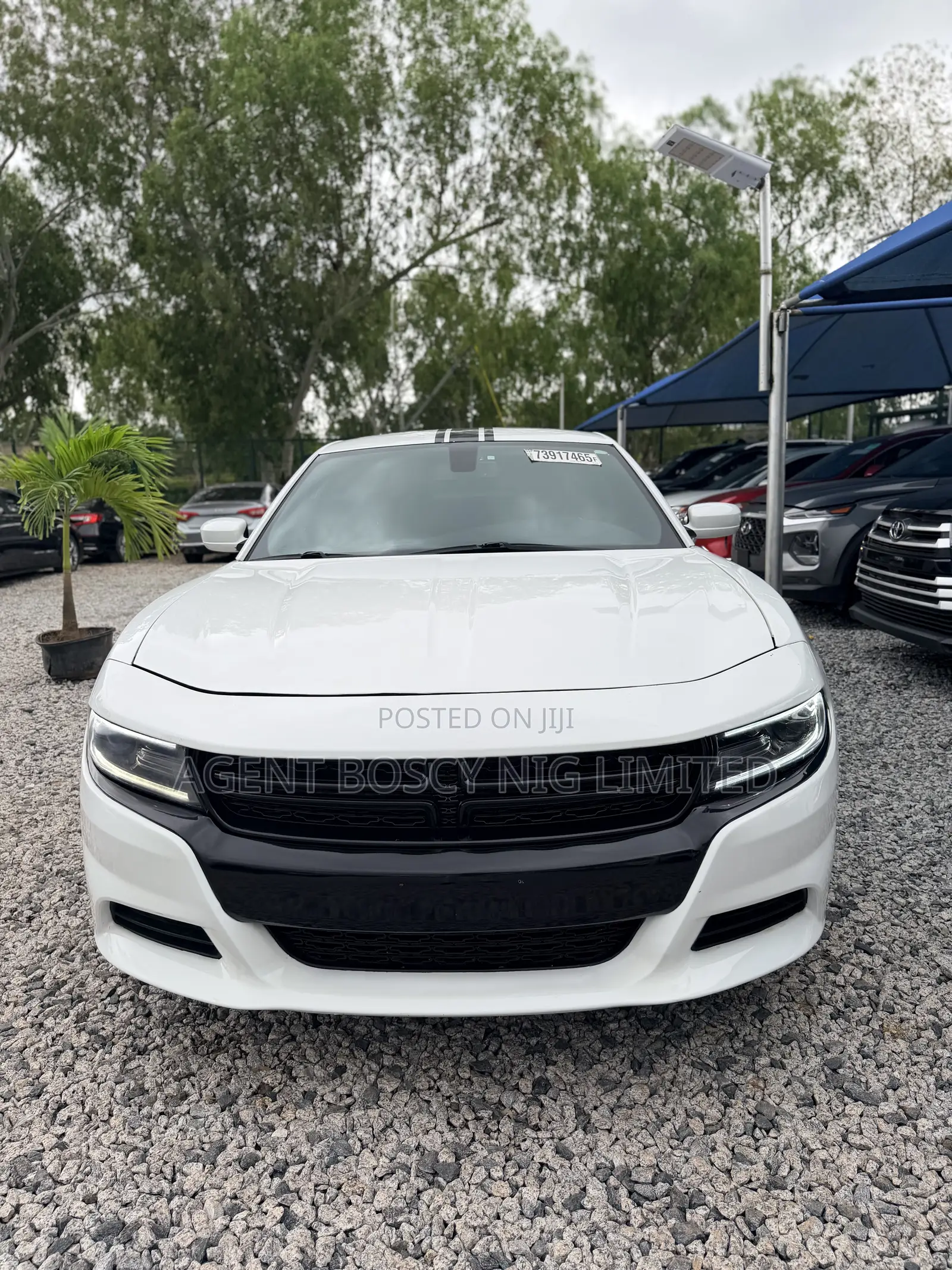 Dodge Charger 2018 White