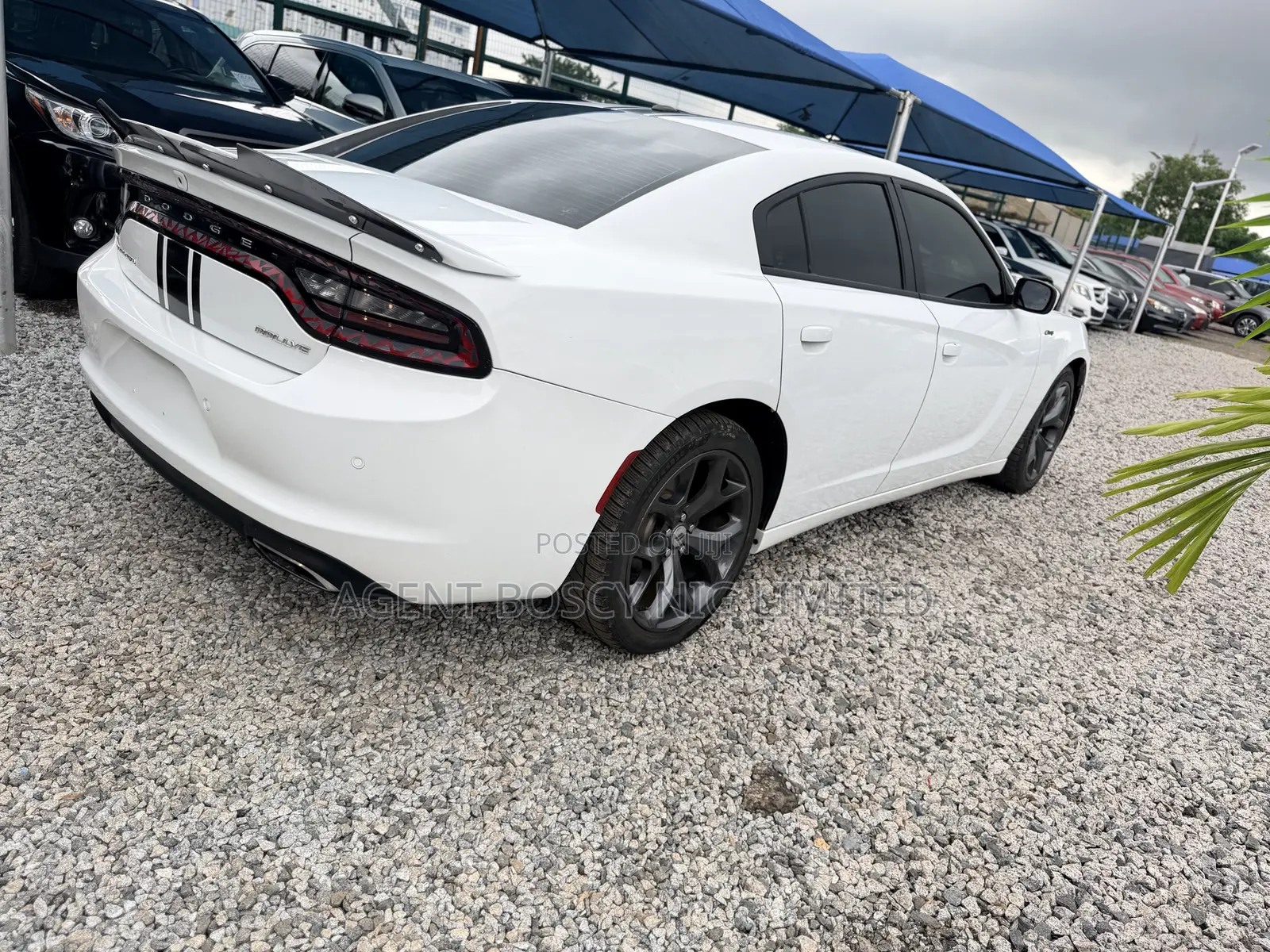 Dodge Charger 2018 White
