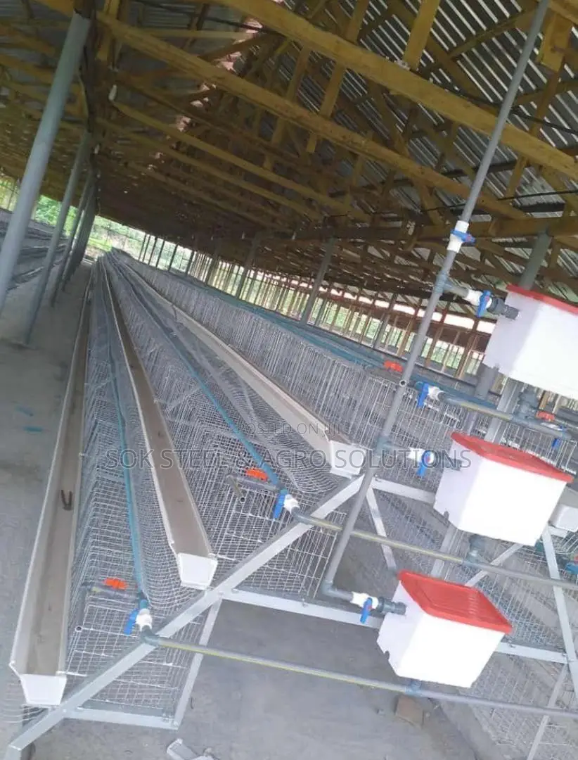 Layer Poultry Battery Cage System for Chickens With Feeding Drinking