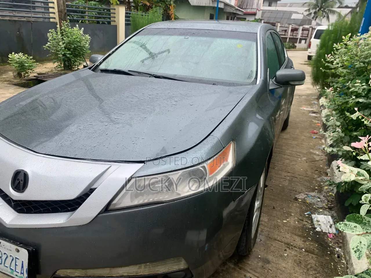 Acura TL 2010 Gray