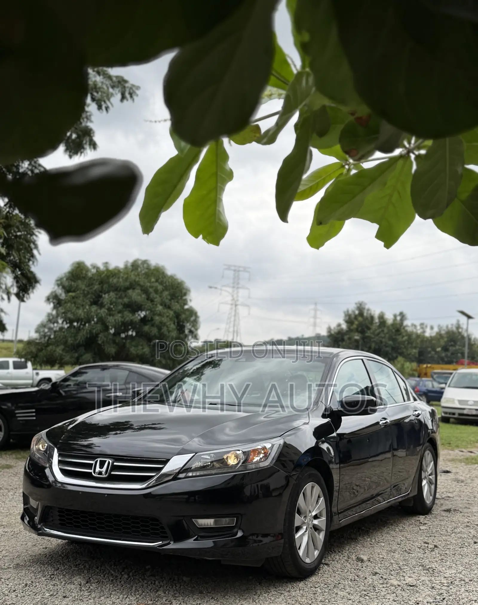 Honda Accord EX-L 4dr Sedan FWD (2.4L 4cyl 2A) 2013 Black