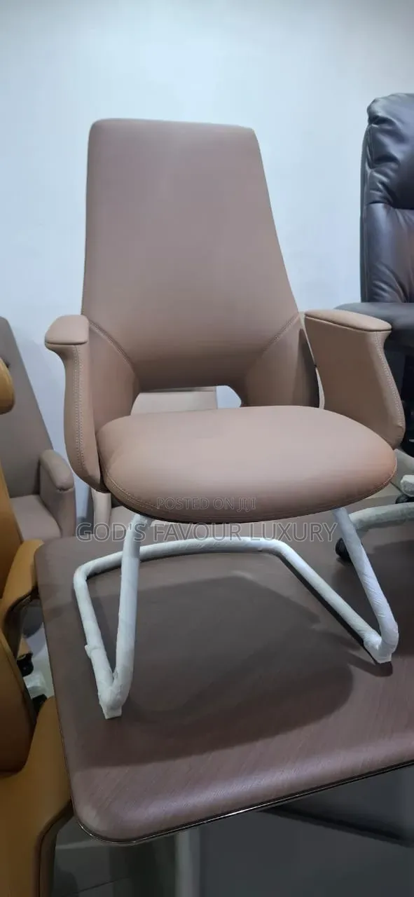 Executive Office Swivel and Visitor Chair