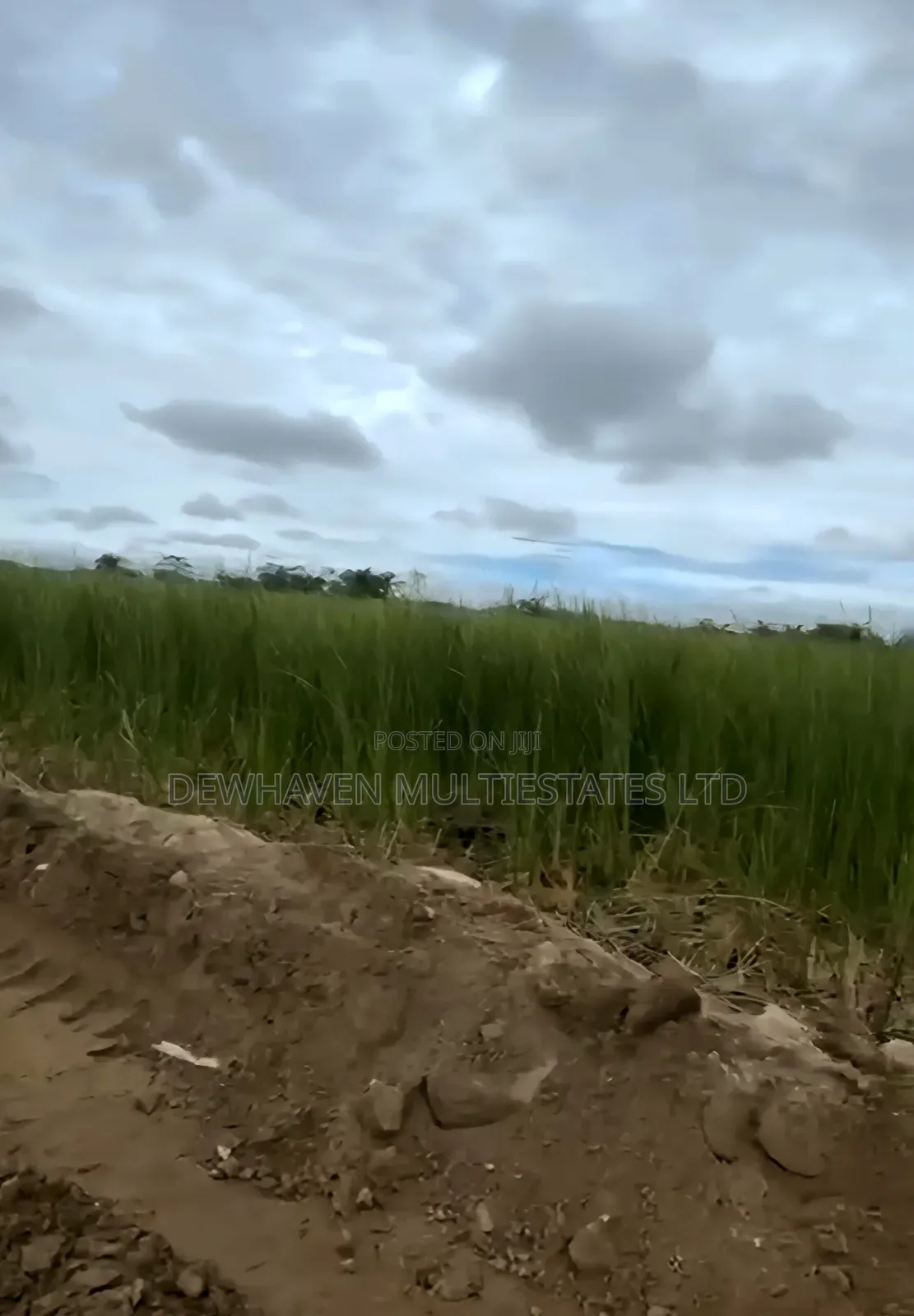 2 Hectare Land Suitable for Mass Housing Estate for Sale in Sangotedo