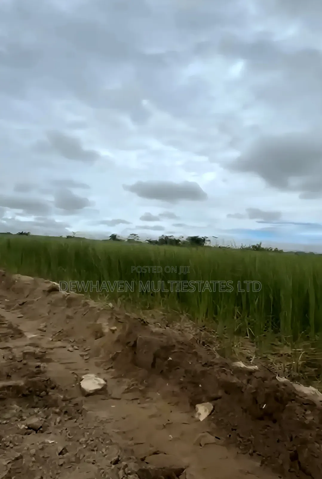 2 Hectare Land Suitable for Mass Housing Estate for Sale in Sangotedo