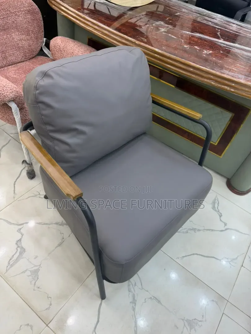 Newly Modern Two Accent Leather Chairs