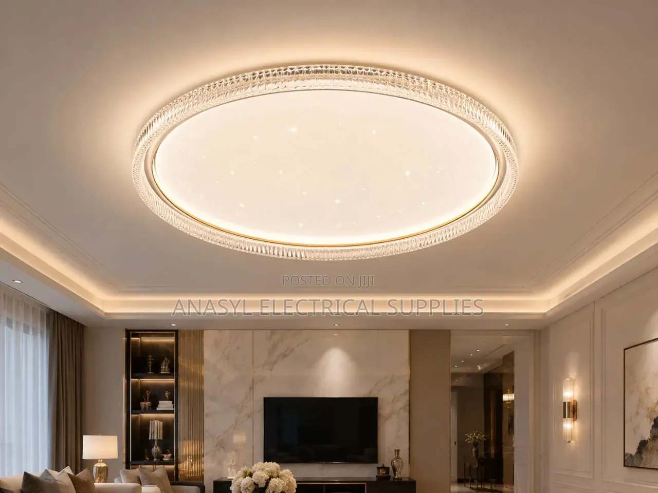 Anasyl Modern Round Flush-Mount LED Ceiling Light