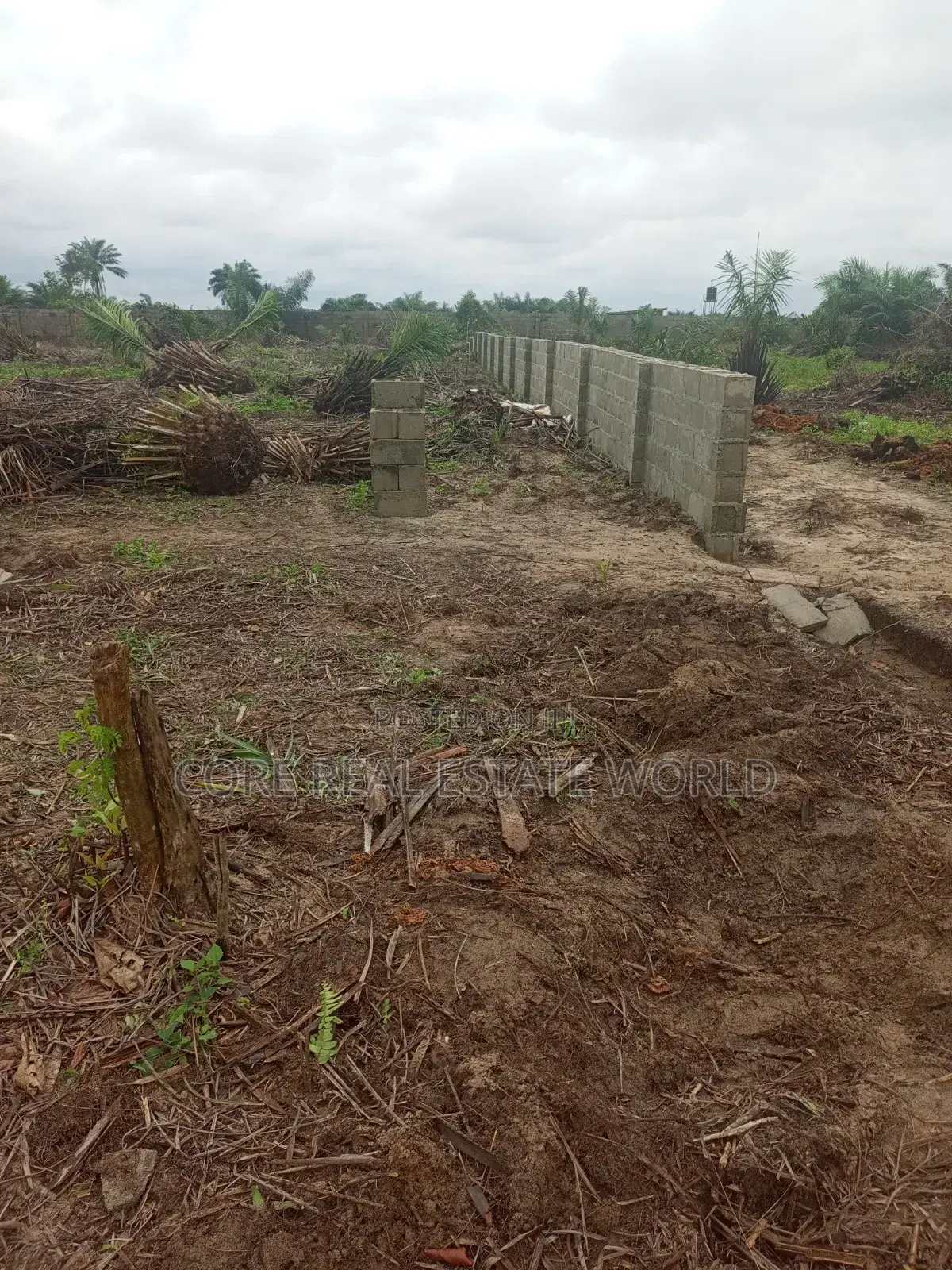 C of O Land for Sale Opposite Lekki Internationa Airport | Ibeju-Lekki
