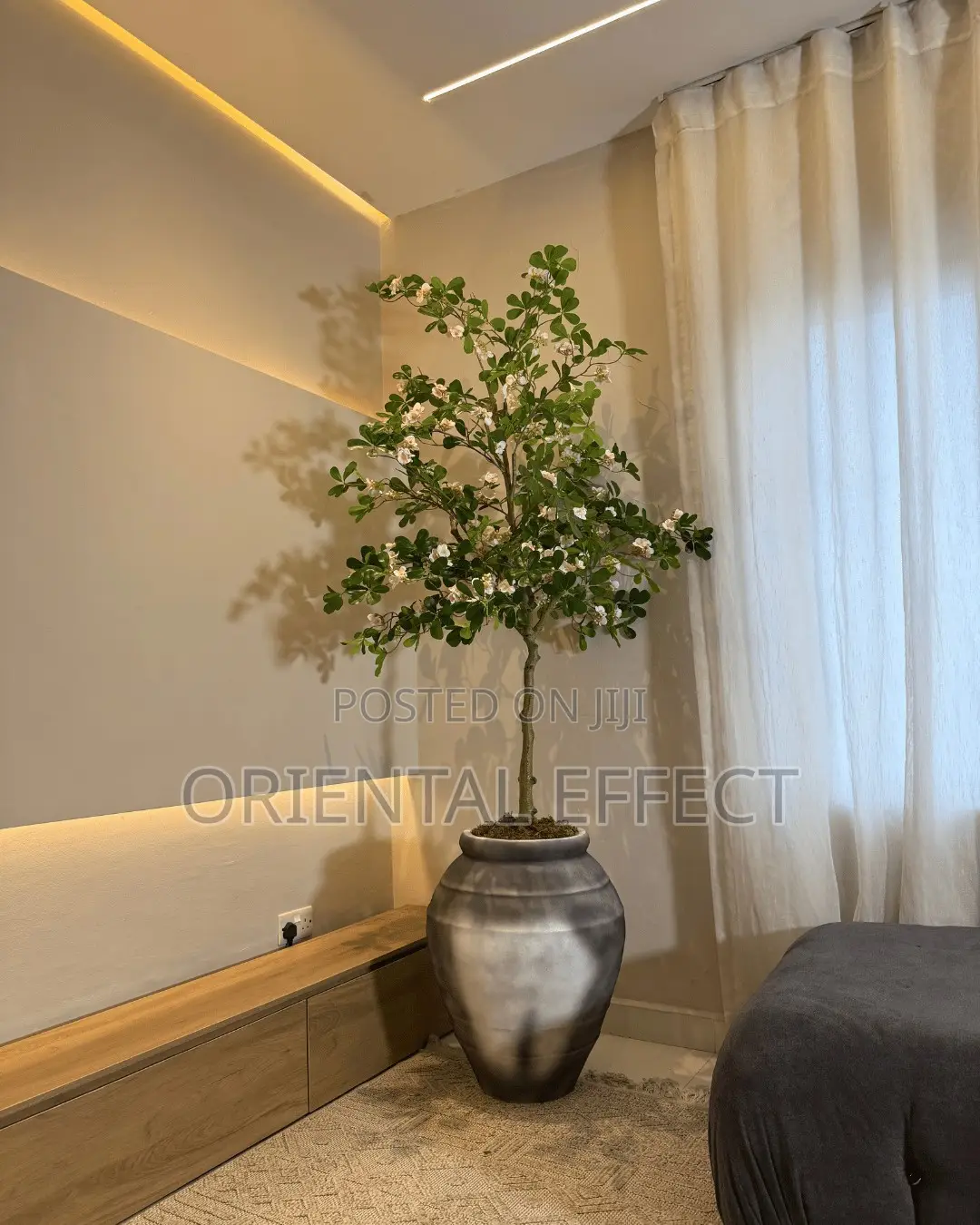 Black Wash Oryvyn Pot With White Exotica Tree | Artificial Trees
