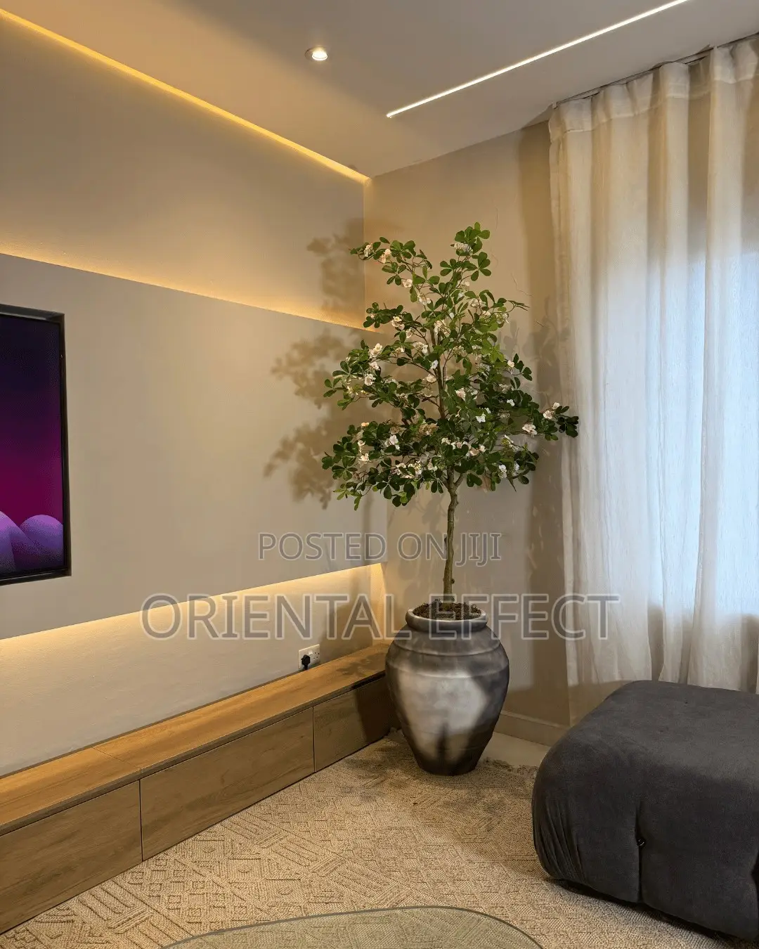 Black Wash Oryvyn Pot With White Exotica Tree | Artificial Trees