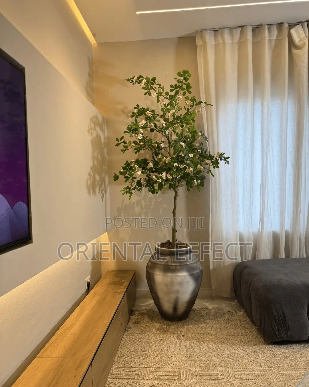 Black Wash Oryvyn Pot With White Exotica Tree | Artificial Trees