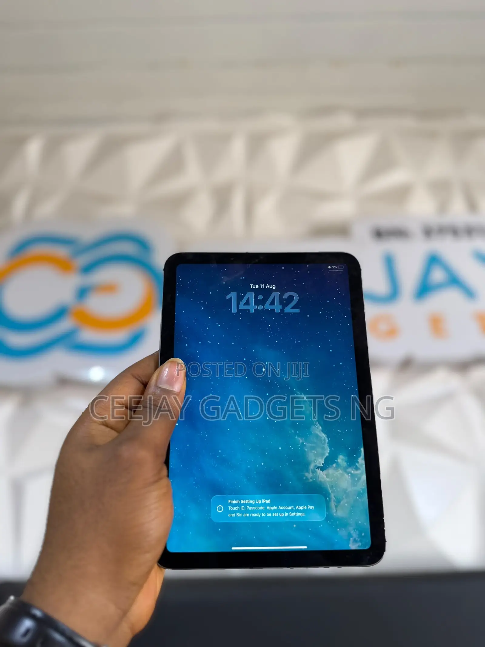 Apple iPad mini 6 256 GB Gray