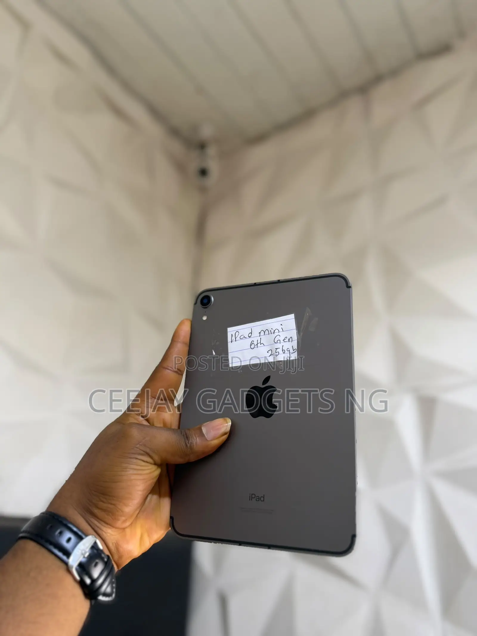 Apple iPad mini 6 256 GB Silver