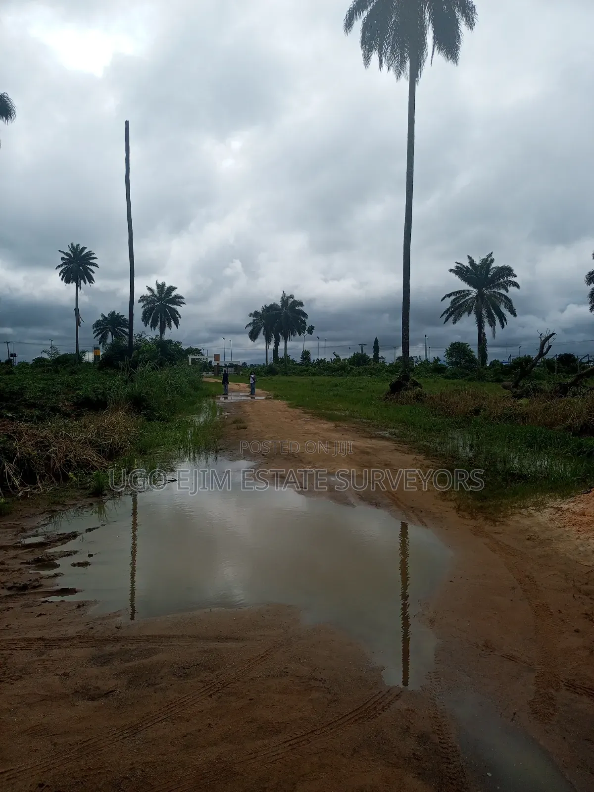 Forty-Two (42) Plots of Land for Sale